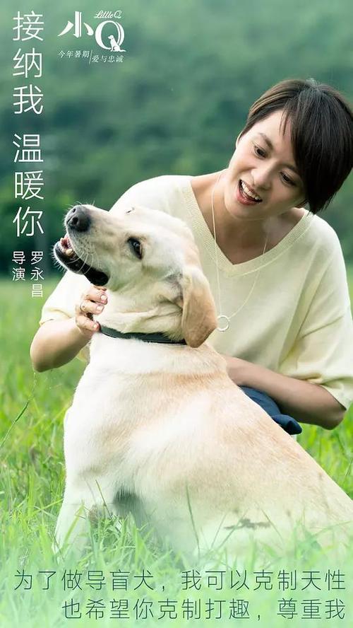 MontanaStateUniversity硕士学位证